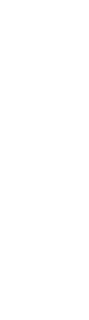 shape 9